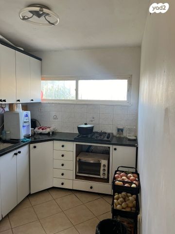 דירה, הערבה 6, ג'סי כהן, חולון