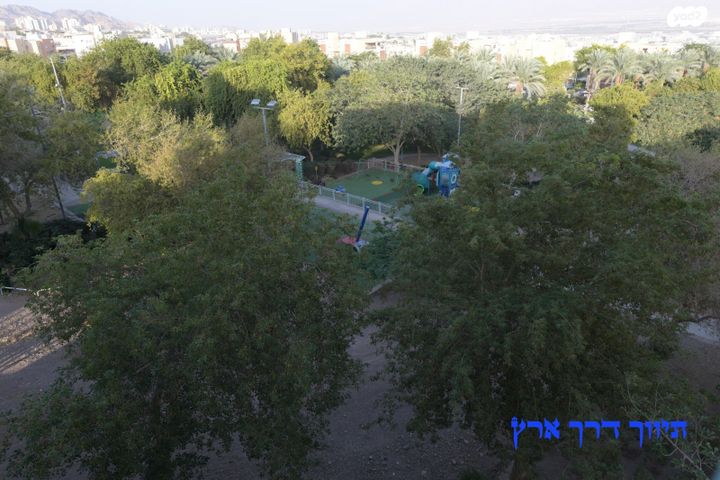 דירה, נחל חיון, הנחלים, שחמון, רובע 5, אילת