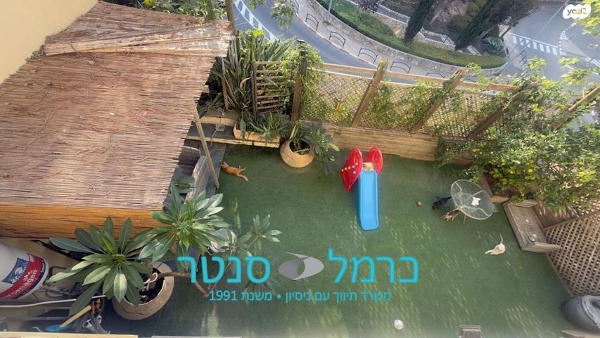 דירת גן, חיפה