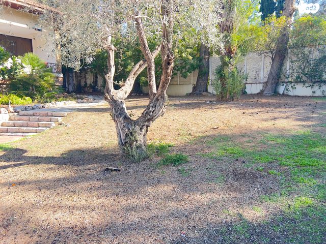 בית פרטי/ קוטג', סביון, סביון