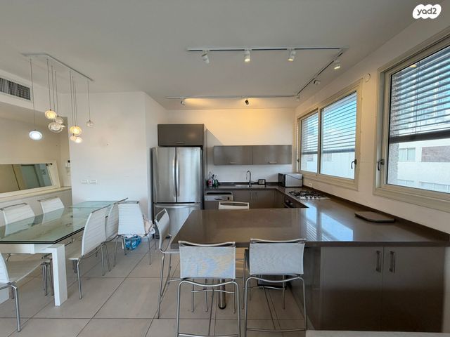 גג/ פנטהאוז, לילינבלום, לב תל אביב, לב העיר צפון, תל אביב יפו