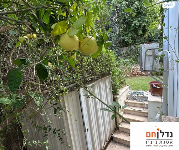 דו משפחתי, ארנון, אלון, רמת השרון