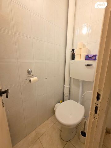 דירה, הכלניות, כלניות, טירת כרמל