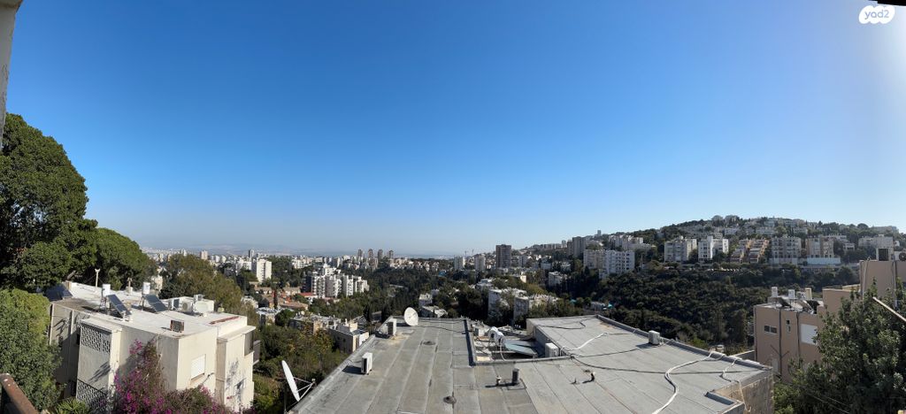 בנימין ד'ישראלי 