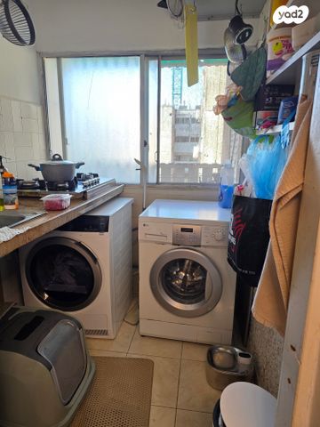 דירה, הכלניות, כלניות, טירת כרמל