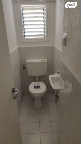 דירה, הדגל העברי, כצנלסון, ראשון לציון