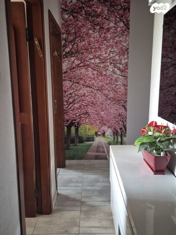 דירה, רא"ל חיים ברלב 11, היובל, שרונה, רחובות