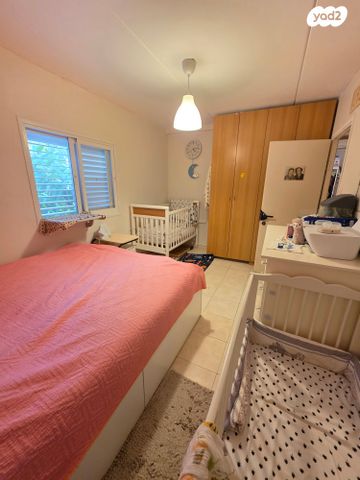 דירה, הכלניות, כלניות, טירת כרמל