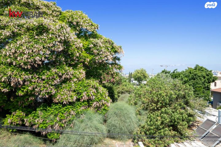דירה, השלושה, עמידר, בת ים