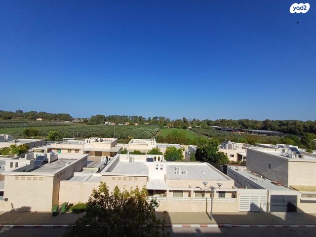 דירה, נעמי שמר, עכו