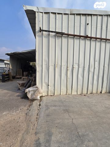 מחסנים, רינתיה