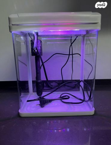 תמונת מודעה - חיות מחמד