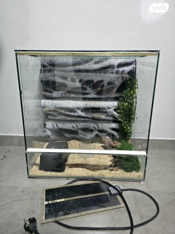 תמונת מודעה - חיות מחמד