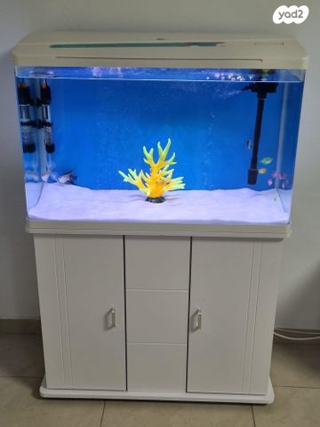 תמונת מודעה - חיות מחמד