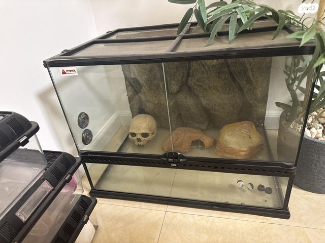 תמונת מודעה - חיות מחמד