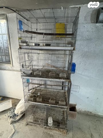 תמונת מודעה - חיות מחמד