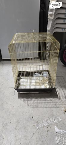 תמונת מודעה - חיות מחמד