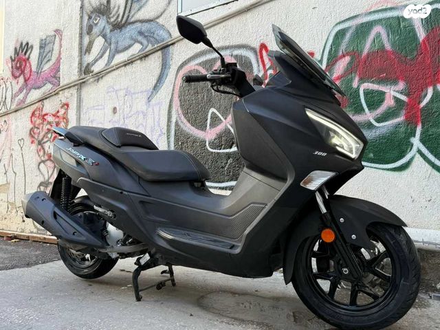 סאן יאנג ג'וי-מקס Z-300