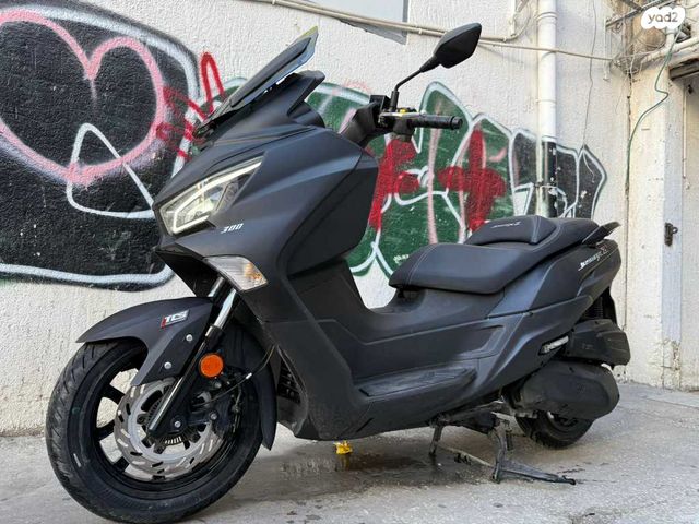 סאן יאנג ג'וי-מקס Z-300