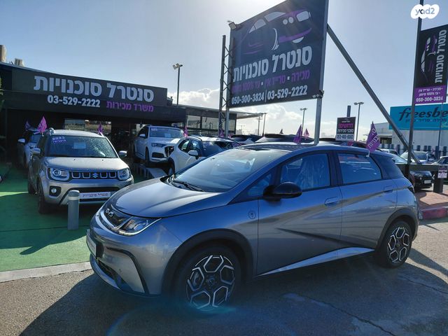 בי.ווי.די דולפין