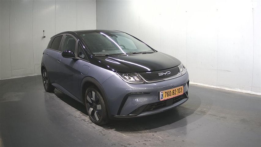 בי.ווי.די דולפין