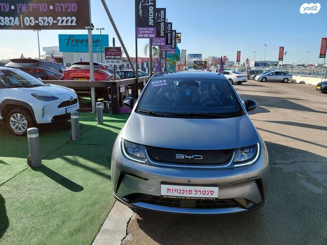 בי.ווי.די דולפין