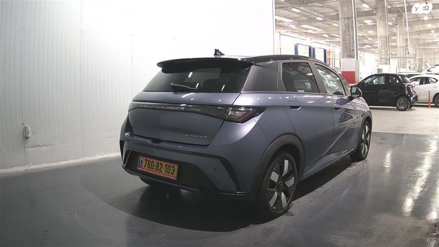 בי.ווי.די דולפין