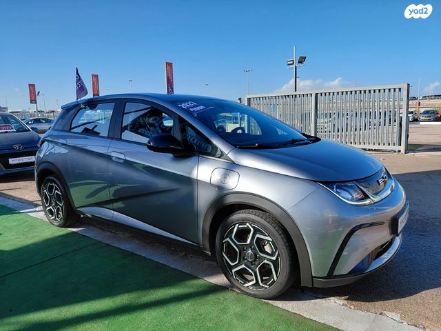 בי.ווי.די דולפין