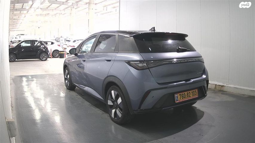 בי.ווי.די דולפין