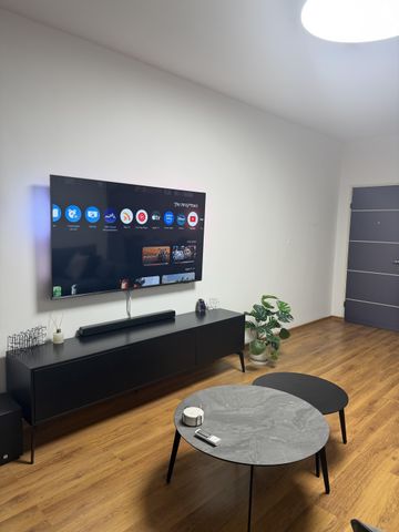 יהודה הלוי 31