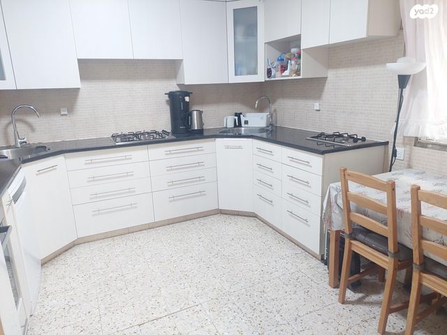 הרב דוד שניאורסון 3