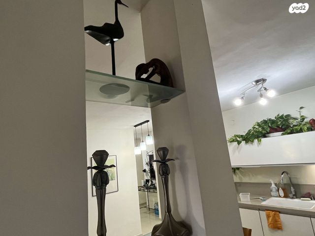 דירת גן, אליעזר קשאני 45, ארמון הנציב, תלפיות מזרח, ירושלים