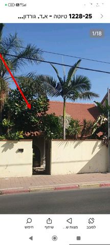 א.ד. גורדון 5