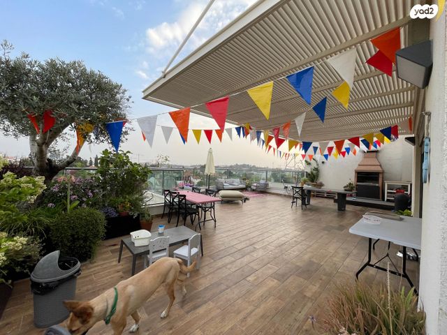 גג/ פנטהאוז, עלייה 2, מרכז מזרחי, נס ציונה