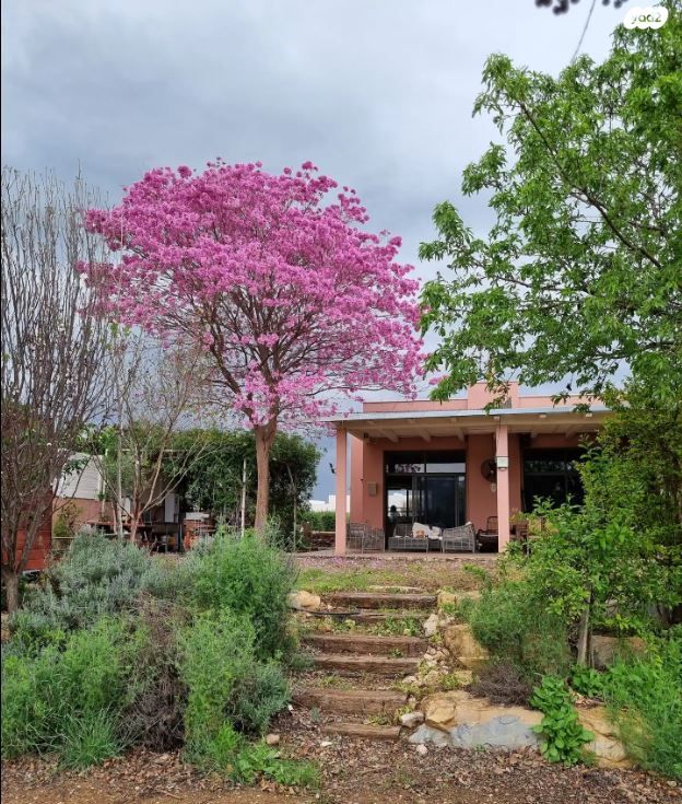 בית פרטי/ קוטג', דרך הפרדס 1, שדה נחמיה, שדה נחמיה