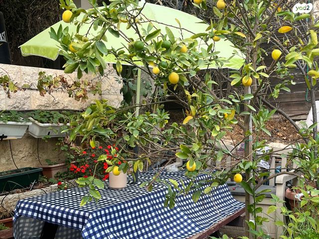 דירת גן, אליעזר קשאני 45, ארמון הנציב, תלפיות מזרח, ירושלים