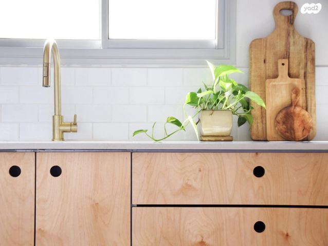 דו משפחתי, הזית 44, קציר, קציר