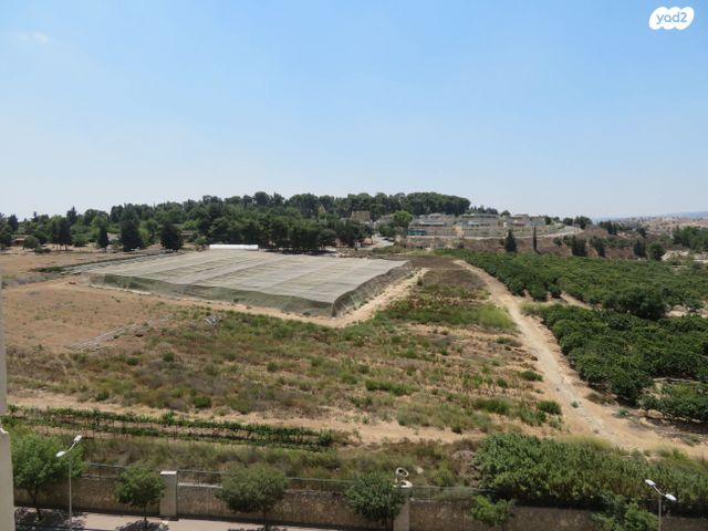 דירה, השופט חיים כהן 39, ארנונה, ירושלים