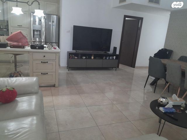 אריה בראון 14