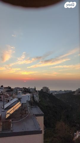 דרך פרויד 10