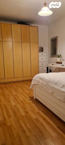 דוד וולפסון 39