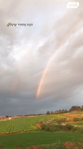 דבורה הנביאה 1