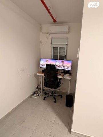 רועי קליין 11