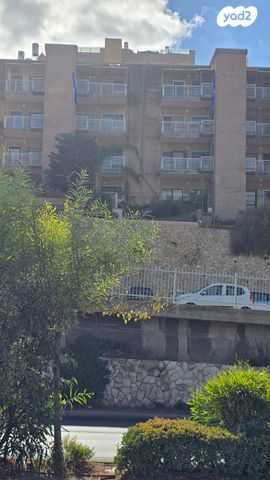 דוד שמעוני 36