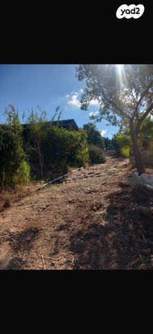 דירה, כליל, כליל, כליל