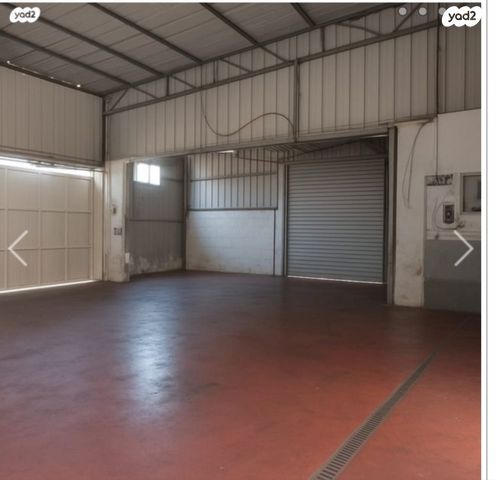 ד"ר פליקס זנדמן 12