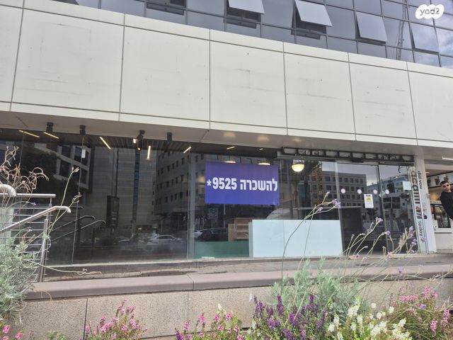 שדרות אבא אבן 5