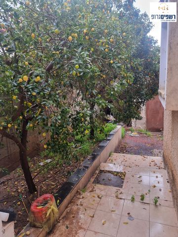 דירת גן, שיכוני מזרחי, כפר סבא