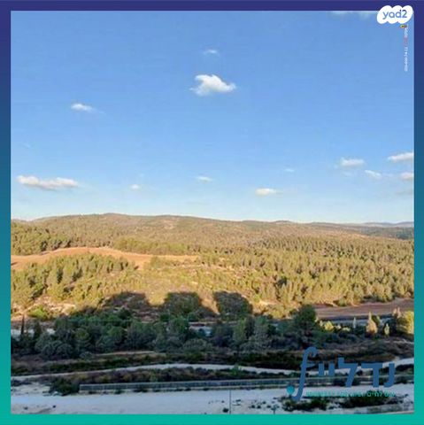 רועי קליין 5