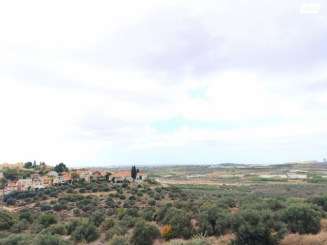 דו משפחתי, צופים, צופים